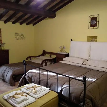 Cosy House In San Vitale With Mountain View *