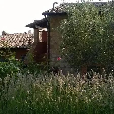 Cosy House In San Vitale With Mountain View Feriehus San Vitale